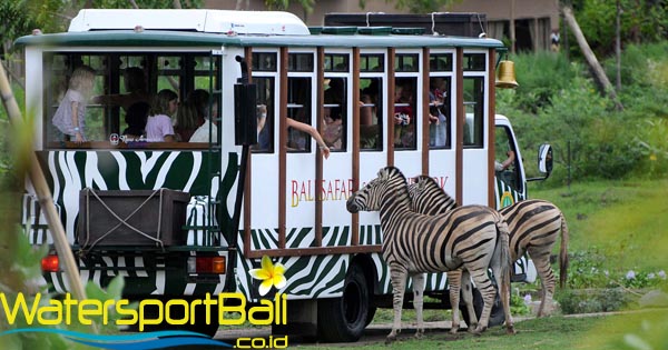 Harga Tiket Masuk Bali Safari And Marine Park 2022