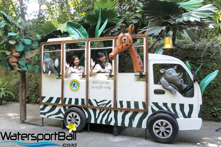 Mobil Trem Bali Safari