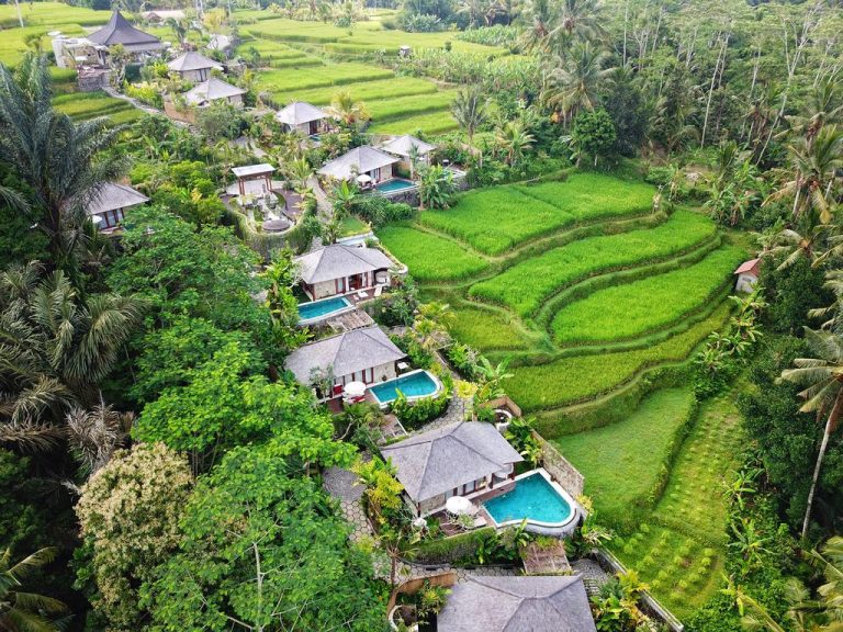 Berikut 9 Kegiatan Seru di Ubud yang Dapat Anda Lakukan 