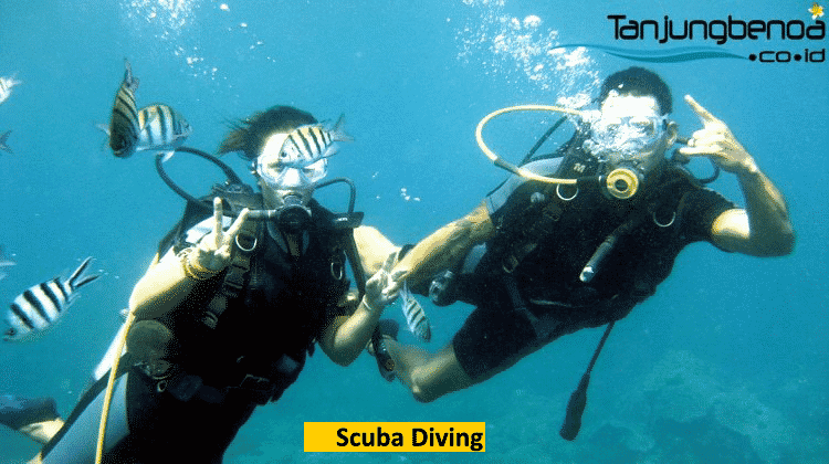 Scuba diving di Tanjung Benoa