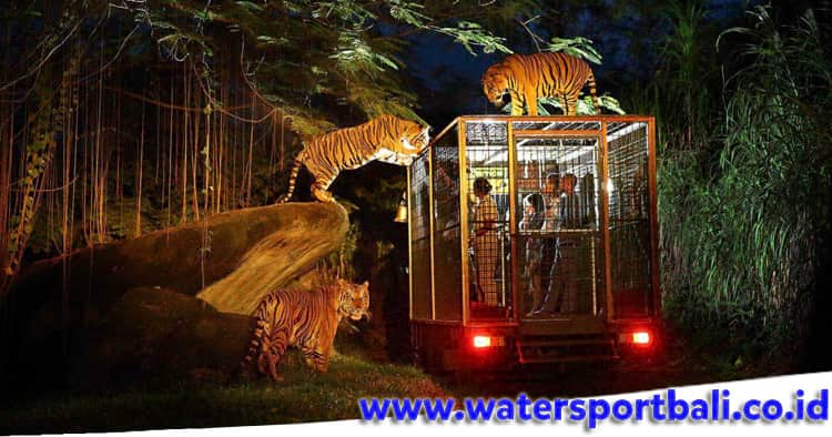 Night Safari Bali Harga Domestik dan Asing 2022